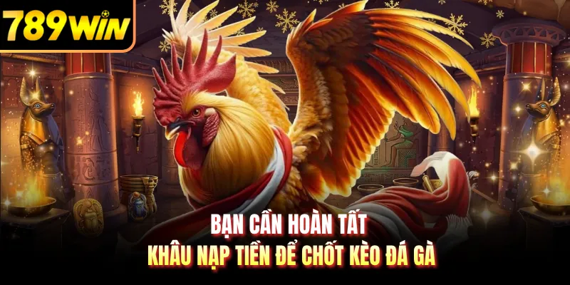 Bạn cần hoàn tất khâu nạp tiền để chốt kèo đá gà