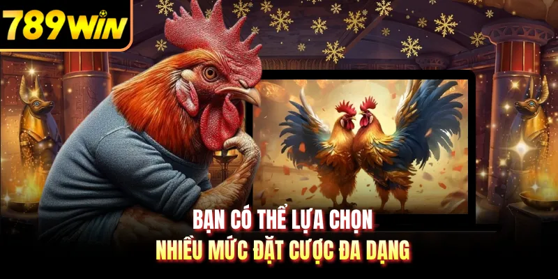 Bạn có thể lựa chọn nhiều mức đặt cược đa dạng