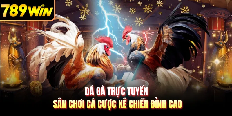 Đá Gà Trực Tuyến - Sân Chơi Cá Cược Kê Chiến Đỉnh Cao