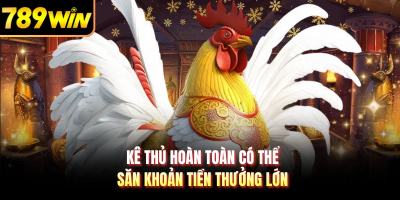 Kê thủ hoàn toàn có thể săn khoản tiền thưởng lớn
