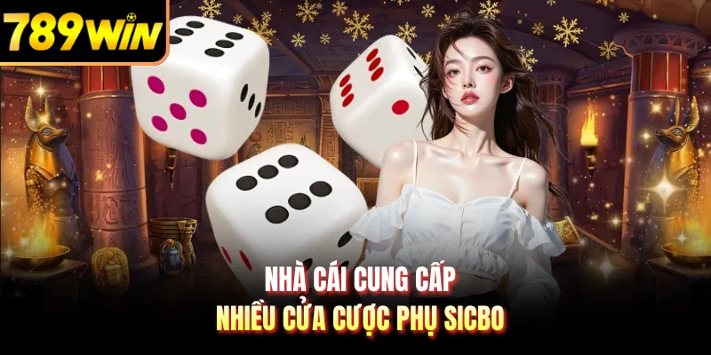 Nhà cái cung cấp nhiều cửa cược phụ sicbo