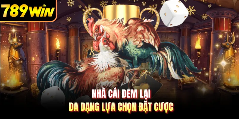 Nhà cái đem lại đa dạng lựa chọn đặt cược