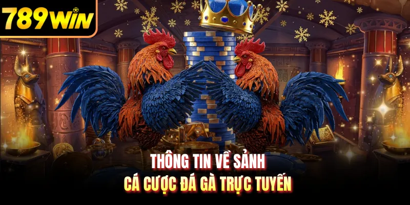 Thông tin về sảnh cá cược đá gà trực tuyến